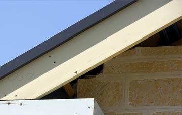 Houlland fascia repairs