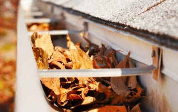 Houlland gutter cleaning companies